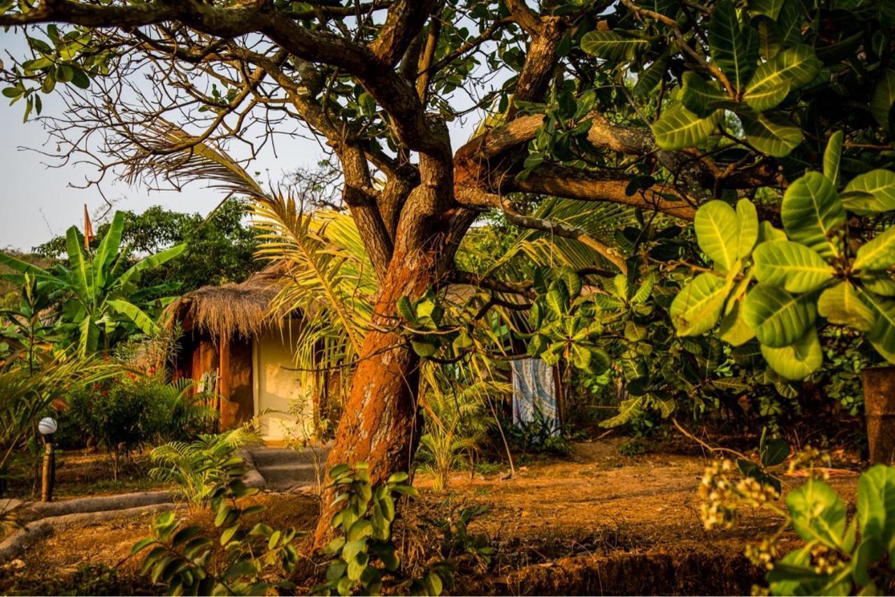 Banyan Tree Yoga Hotel Mandrem Ngoại thất bức ảnh
